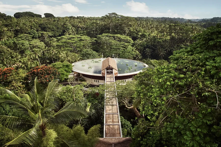 A First-Timer’s Planning Guide to All-Inclusive Rainforest Retreats Rainforest